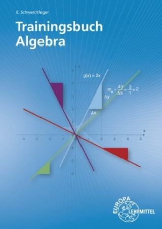 Książka Trainingsbuch Algebra Eugen Schwerdtfeger