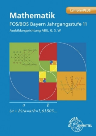 Kniha Mathematik FOS/BOS Bayern Jahrgangsstufe 11, Ausbildungsrichtung ABU, G, S, W Josef Dillinger