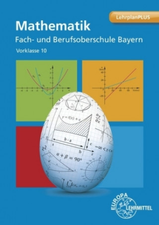 Kniha Mathematik Fach- und Berufsoberschule Bayern Josef Dillinger