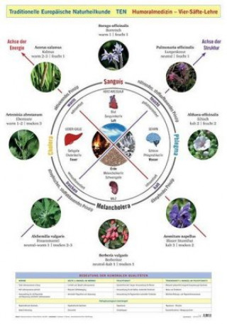 Nyomtatványok Wandtafel Traditionelle Europäische Naturheilkunde TEN Friedemann Garvelmann