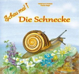 Kniha Schau mal! Die Schnecke Heiderose Fischer-Nagel