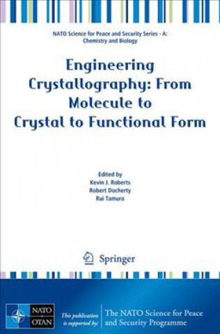 Kniha Engineering Crystallography: From Molecule to Crystal to Functional Form Kevin J. Roberts