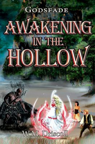 Kniha Awakening in the Hollow W. M. Driscoll