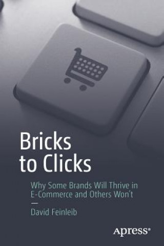 Książka Bricks to Clicks David Feinleib