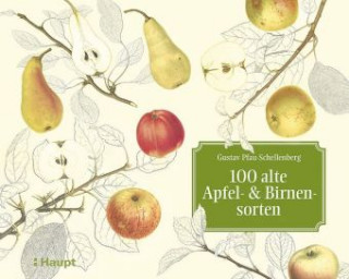 Kniha 100 alte Apfel- und Birnensorten Gustav Pfau-Schellenberg