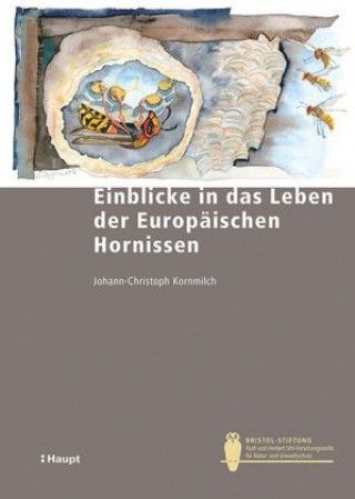 Carte Einblicke in das Leben der Europäischen Hornisse Johann-Christoph Kornmilch