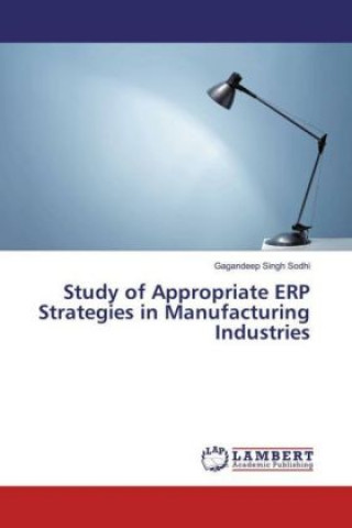 Könyv Study of Appropriate ERP Strategies in Manufacturing Industries Gagandeep Singh Sodhi