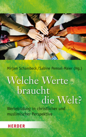 Książka Welche Werte braucht die Welt? Sabine Pemsel-Maier