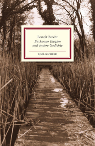 Kniha Buckower Elegien und andere Gedichte Bertolt Brecht