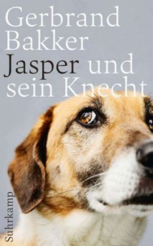 Książka Jasper und sein Knecht Gerbrand Bakker