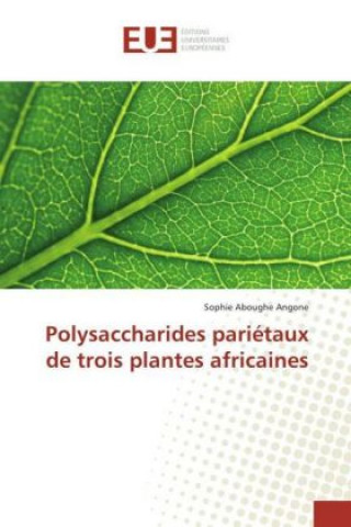 Kniha Polysaccharides pariétaux de trois plantes africaines Sophie Aboughe Angone