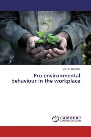 Buch Pro-environmental behaviour in the workplace Oldrich Studynka