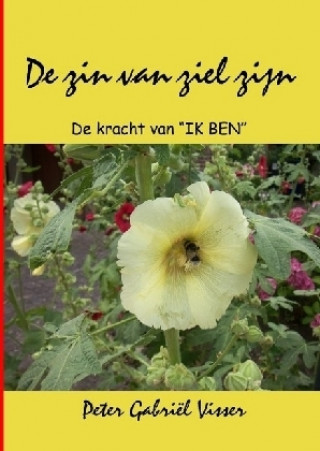 Buch De zin van ziel zijn Peter Gabriël Visser