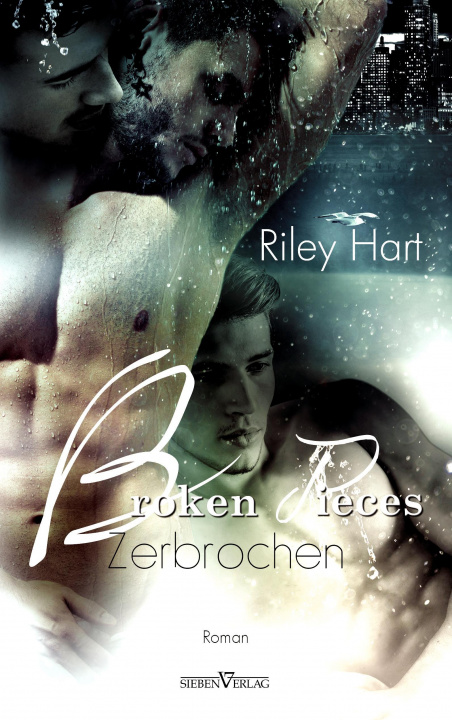 Książka Broken Pieces - Zerbrochen Riley Hart