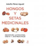 Könyv HONGOS Y SETAS MEDICINALES 