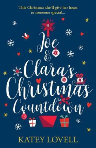 Kniha Joe and Clara's Christmas Countdown Katey Lovell