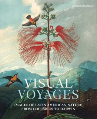 Carte Visual Voyages Daniela Bleichmar
