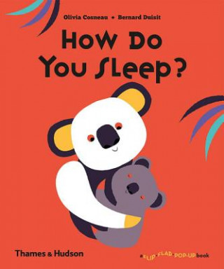 Book How Do You Sleep? Olivia Cosneau