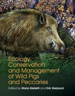Kniha Ecology, Conservation and Management of Wild Pigs and Peccaries Mario Melletti