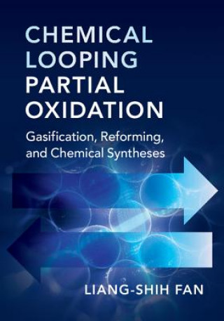 Książka Chemical Looping Partial Oxidation Liang-Shih Fan