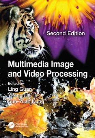 Książka Multimedia Image and Video Processing 