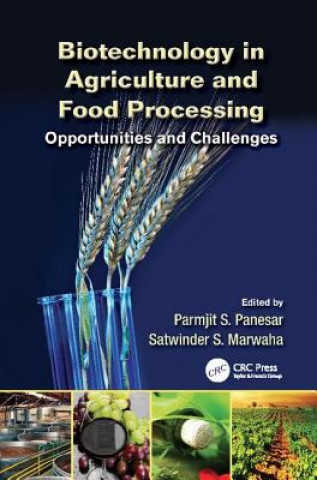 Könyv Biotechnology in Agriculture and Food Processing Parmjit S. Panesar