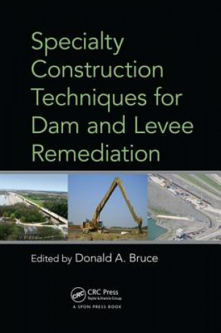 Kniha Specialty Construction Techniques for Dam and Levee Remediation 