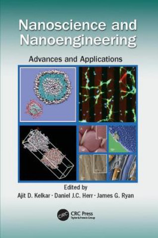 Könyv Nanoscience and Nanoengineering 