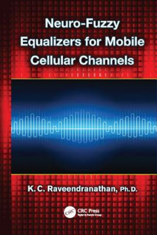 Kniha Neuro-Fuzzy Equalizers for Mobile Cellular Channels RAVEENDRANATHAN
