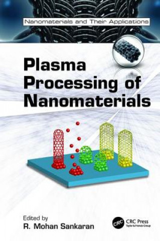 Kniha Plasma Processing of Nanomaterials 