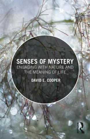 Kniha Senses of Mystery David E. Cooper