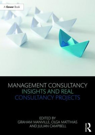 Kniha Management Consultancy Insights and Real Consultancy Projects Graham Manville