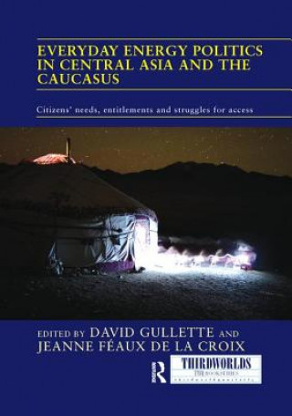 Kniha Everyday Energy Politics in Central Asia and the Caucasus 