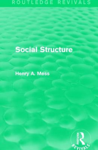 Kniha Social Structure Henry A. Mess