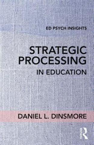 Knjiga Strategic Processing in Education Daniel L Dinsmore