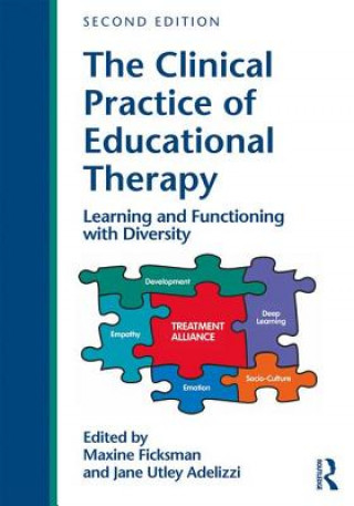 Kniha Clinical Practice of Educational Therapy Maxine Ficksman