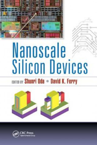 Könyv Nanoscale Silicon Devices 