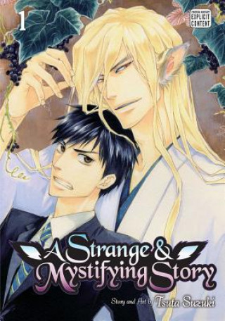 Könyv Strange & Mystifying Story, Vol. 1 Tsuta Suzuki