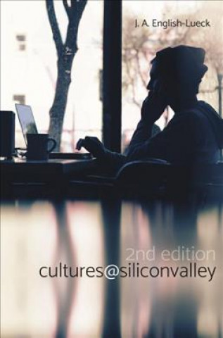 Boek Cultures@SiliconValley J. A. English-Lueck