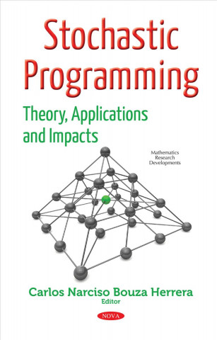 Kniha Stochastic Programming Carlos Narciso Bouza Herrera