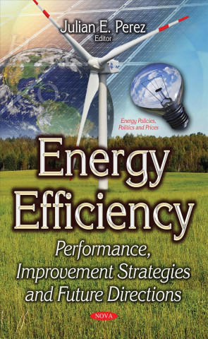 Knjiga Energy Efficiency Julian E Perez