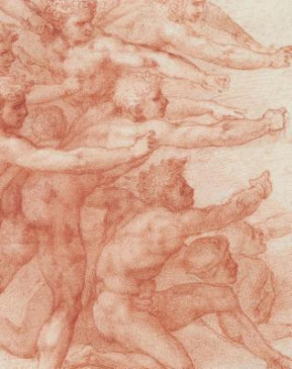 Kniha Michelangelo Carmen C. Bambach