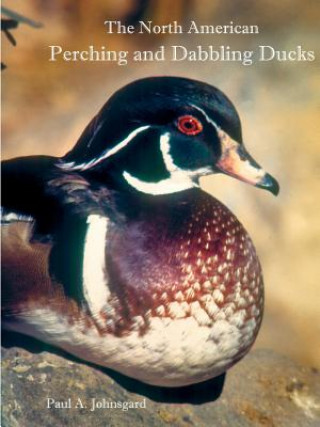 Книга North American Perching and Dabbling Ducks PAUL JOHNSGARD