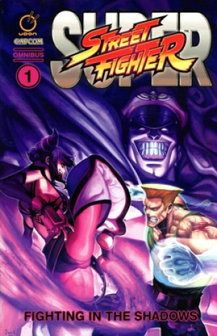 Kniha Super Street Fighter Omnibus Ken Siu-Chong