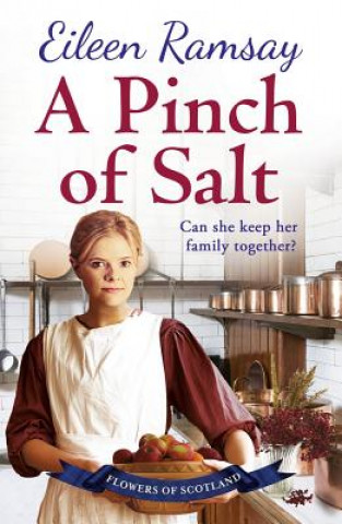 Kniha Pinch of Salt Eileen Ramsay