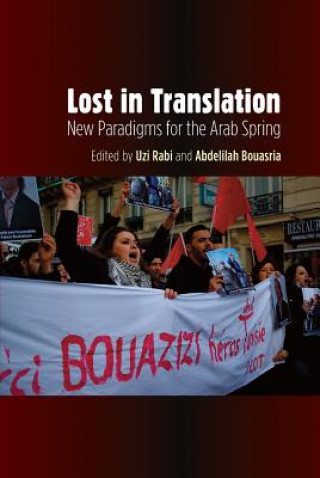 Knjiga Lost in Translation Uzi Rabi