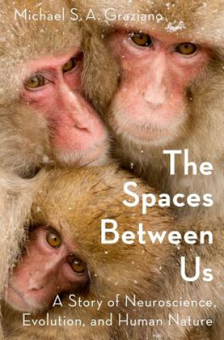 Kniha Spaces Between Us Michael Graziano