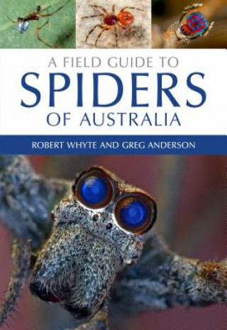 Kniha Field Guide to Spiders of Australia Robert Whyte