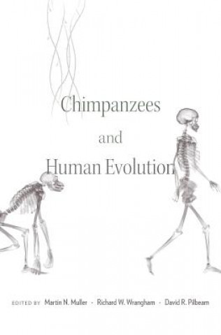 Könyv Chimpanzees and Human Evolution Martin N. Muller
