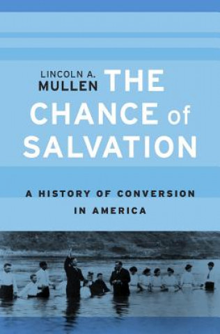 Buch Chance of Salvation Lincoln A. Mullen